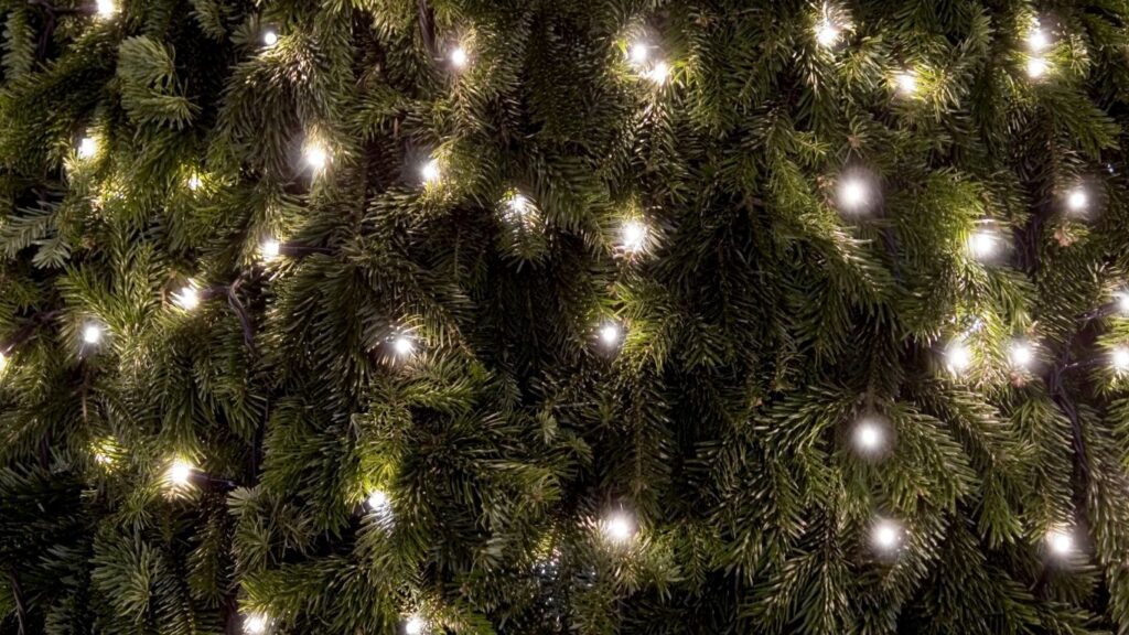 Cool Christmas gift ideas for each Zodiac Sign – Born Under Saturn Cool Christmas gift ideas for each Zodiac Sign.