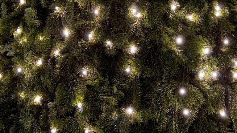 Cool Christmas gift ideas for each Zodiac Sign – Born Under Saturn Cool Christmas gift ideas for each Zodiac Sign.