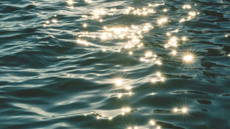 Black Moon Lilith in Pisces