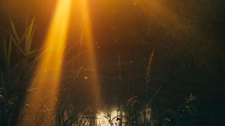 Black Moon Lilith in Leo