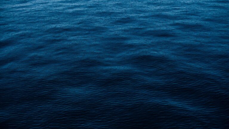 Water to represent Cancer sign.