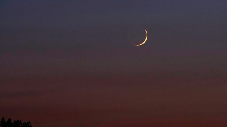 New Moon in Cancer Significance & Horoscopes – July 2024 New Moon