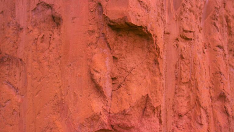 Mars in Cancer’s Softer Impact (Sept 2024) + Horoscope Mars red colour.