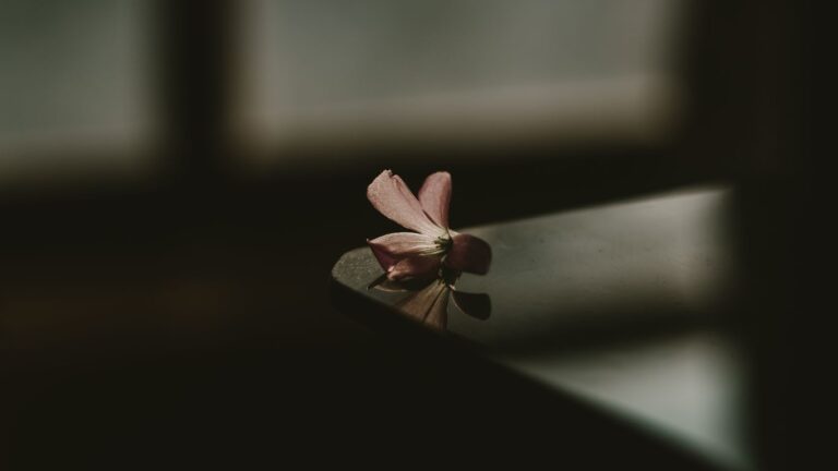 Dark image to represent Scorpio season's depths.