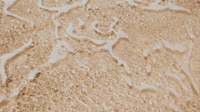 mars-reenters-cancer-january-2025 Mars retrograde in Cancer represented by still water, symbolizing introspection and reflection.