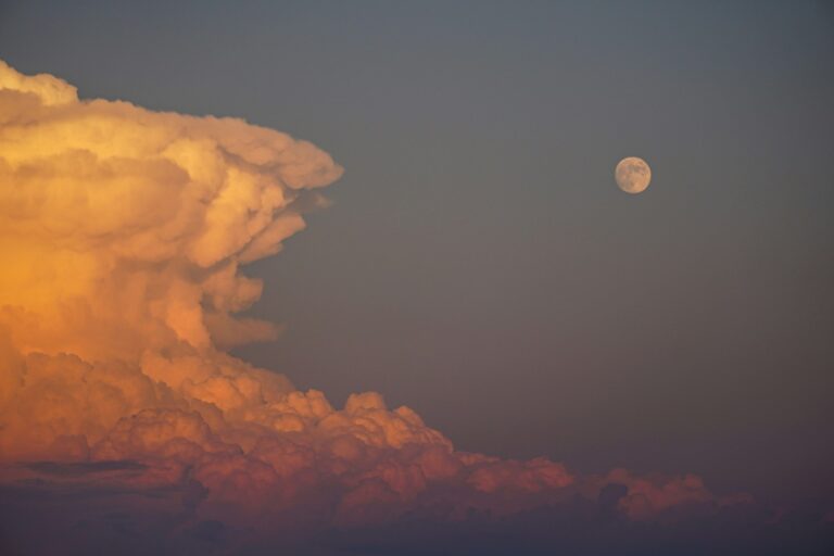 Leo Full Moon February 2025: Your Guide to Understanding It Leo Full Moon in the sky