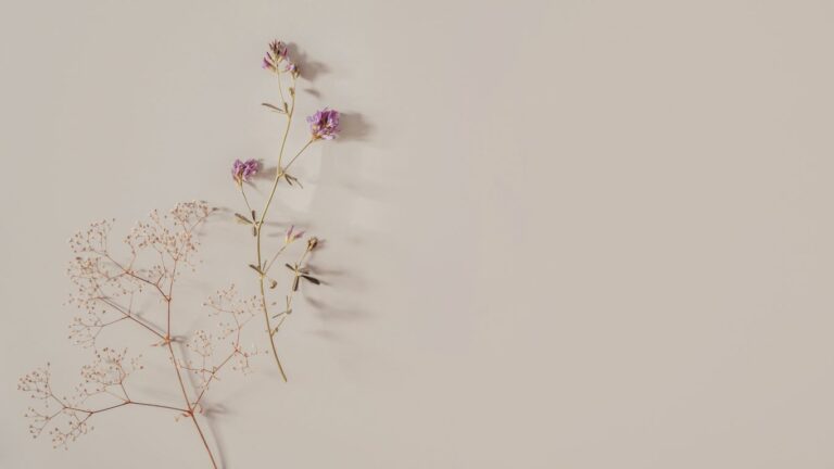 Taurus season's symbol: flowers.|||||