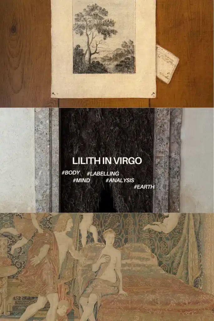 Black Moon Lilith in Virgo collage highlighting themes of the body, labelling, mind, analysis and earth element.