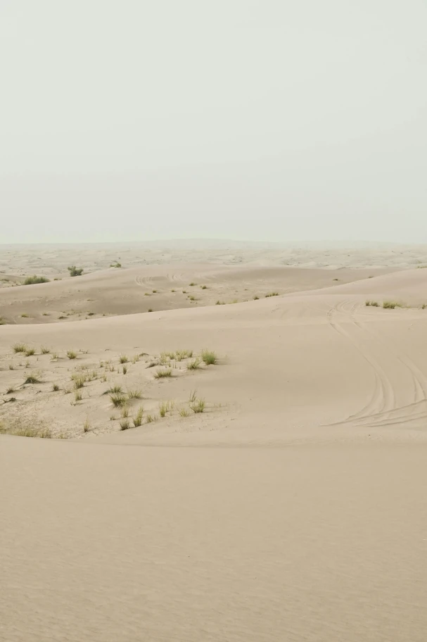 Neptune in the 12th House: Meaning, Traits & Struggles Neptune in the 12th house vast desert representing the unconscious.