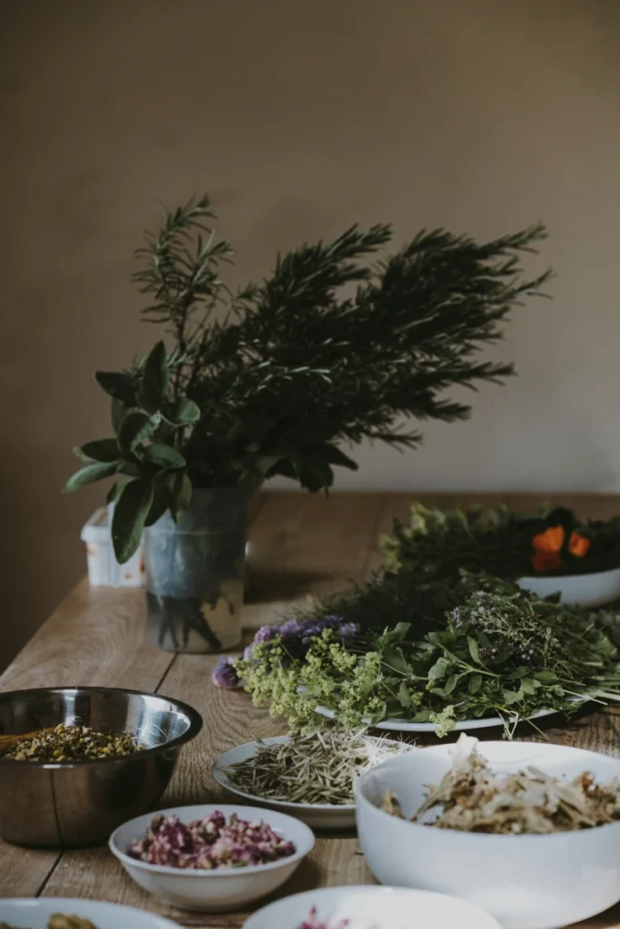 taurus new moon grounding energy, natural elements arranged on a wooden table symbolizing stability, roots, and connection to earth