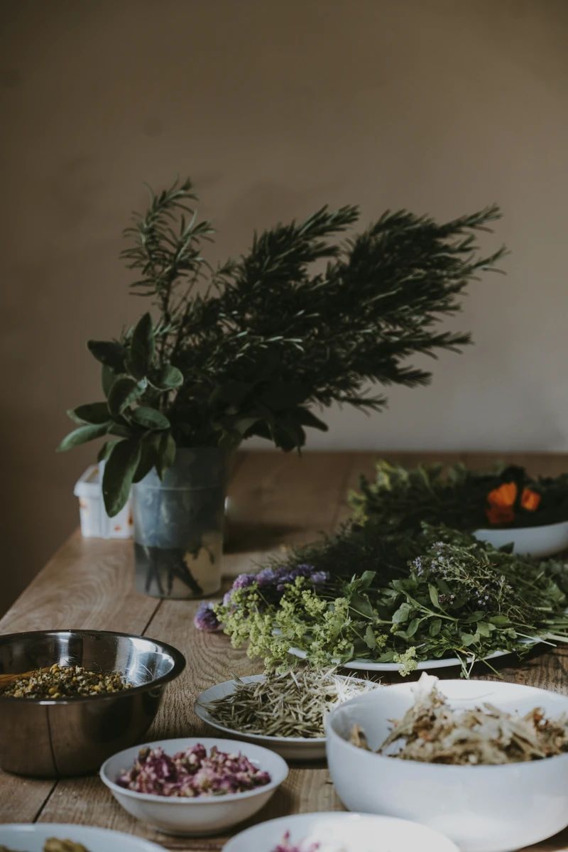taurus new moon grounding energy, natural elements arranged on a wooden table symbolizing stability, roots, and connection to earth
