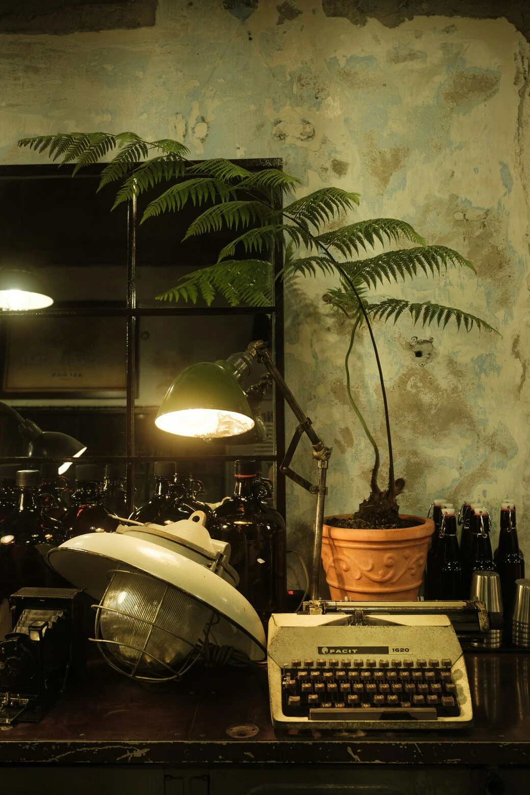 Venus in Taurus symbolism, dimly lit room with a plant in soft shadow representing rooted love, emotional stability, and quiet devotion.