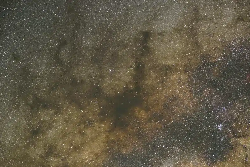 Astrology and the cosmos: star-filled sky representing celestial patterns and the meaning behind astrology.