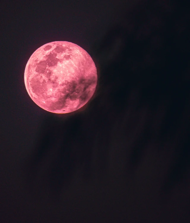 sagittarius full moon strawberry moon, pink full moon glowing in a night sky symbolizing ripeness, culmination, and seasonal transition