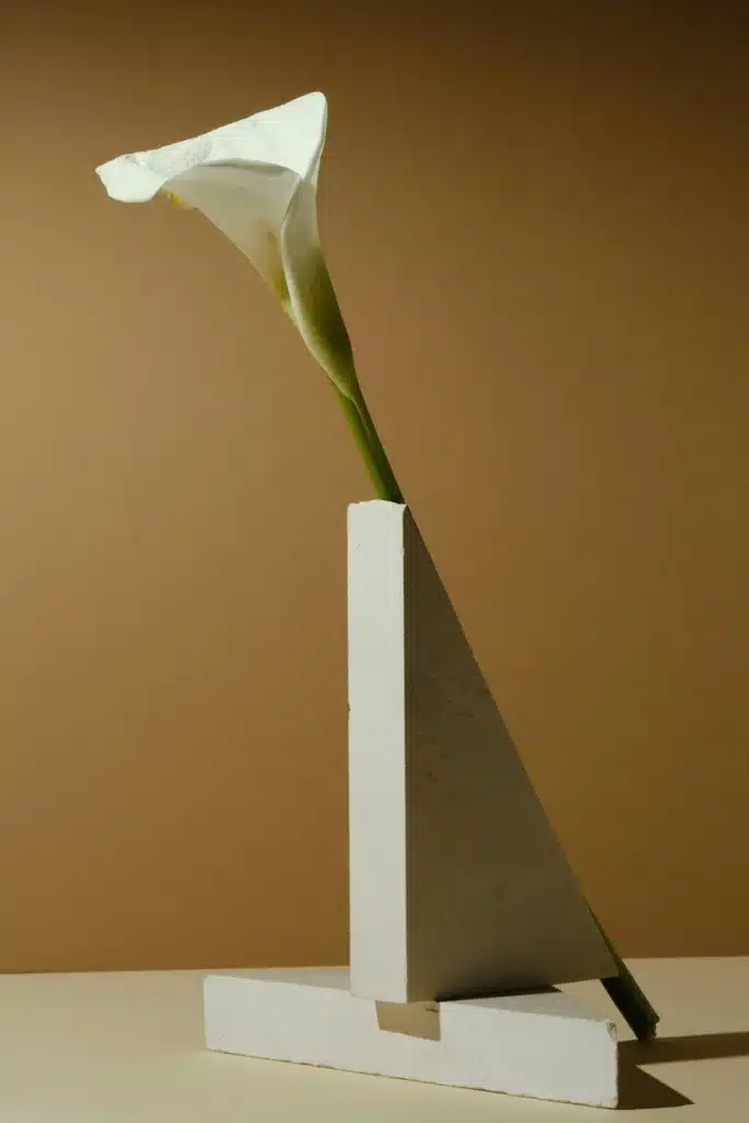 Venus in Virgo transit symbolized by a still life flower against a mustard yellow background, evoking refined beauty, simplicity, devotion, and love expressed through quiet detail.