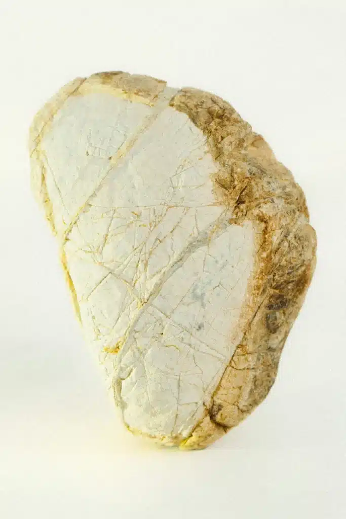 Mars in Cancer mood image featuring a pale textured stone with golden-brown edges, symbolising emotional protection, memory, and inner strength.