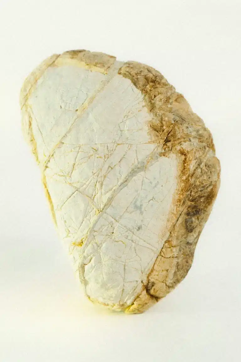 Mars in Cancer mood image featuring a pale textured stone with golden-brown edges, symbolising emotional protection, memory, and inner strength.