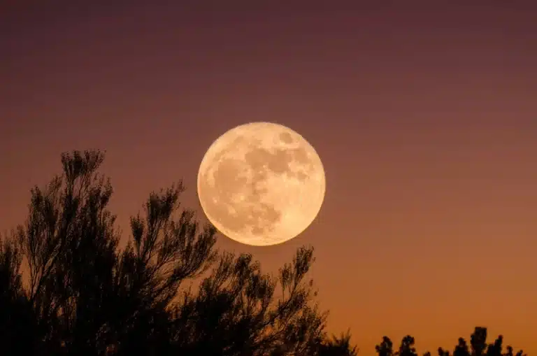 Full Moon in Aries glowing above silhouetted trees against a fiery orange and purple sky.