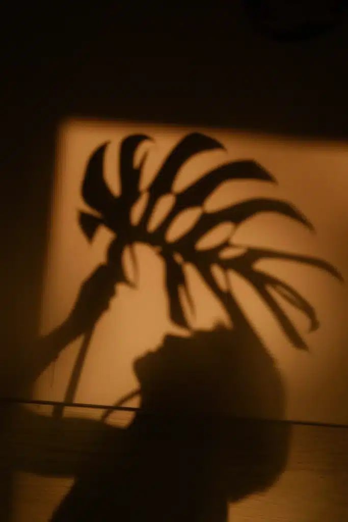 Venus in Scorpio evoked by the shadow of a woman holding a monstera leaf in warm, dark light.