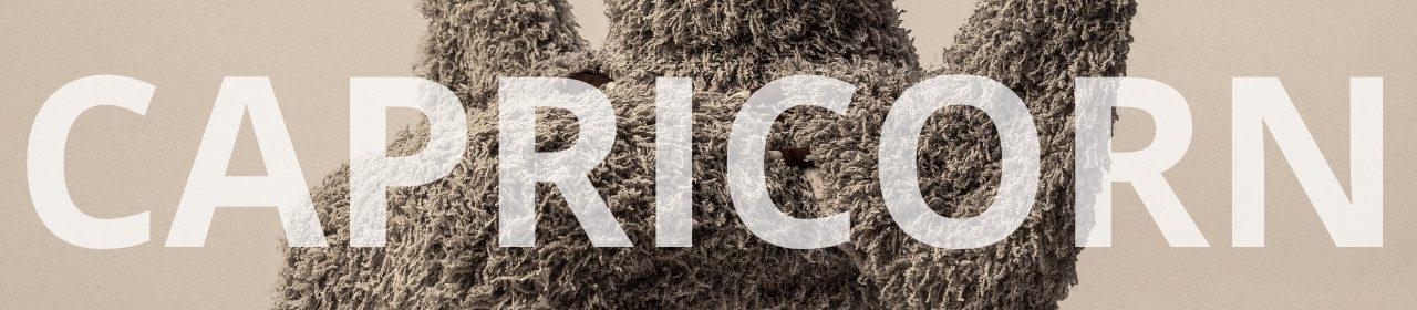 Capricorn horoscope banner. Textured abstract sculpture on a neutral background.