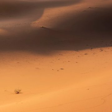Aries Full Moon 2025 casting fiery light, symbolized by golden desert dunes and deep shadows
