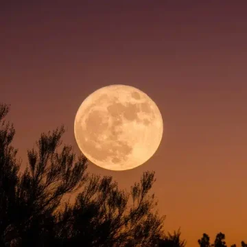 Full Moon in Aries glowing above silhouetted trees against a fiery orange and purple sky.