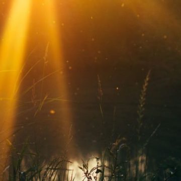 Black Moon Lilith in Leo