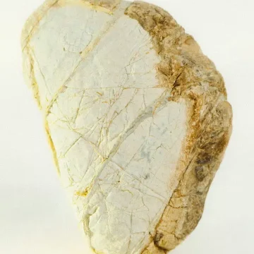 Mars in Cancer mood image featuring a pale textured stone with golden-brown edges, symbolising emotional protection, memory, and inner strength.
