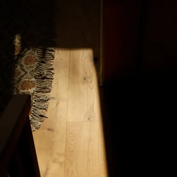 Mercury retrograde atmosphere, strong shadows across a floor with a visible rug symbolising slowness, pause, and deliberate movement during retrograde periods.