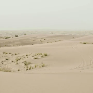 Neptune in the 12th house vast desert representing the unconscious.