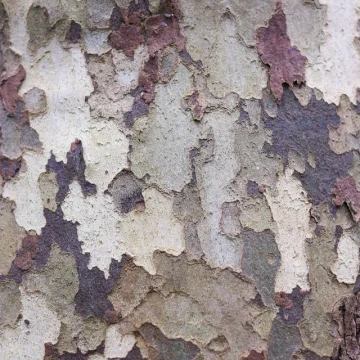 Neptune in the 9th house symbolism with layered textures and faded surfaces.