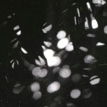 Sextile aspect in astrology.