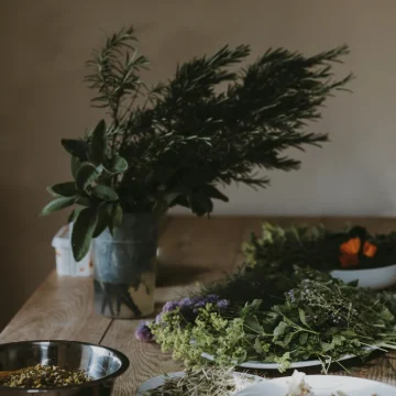taurus new moon grounding energy, natural elements arranged on a wooden table symbolizing stability, roots, and connection to earth
