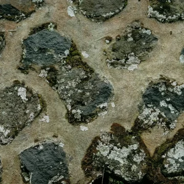 astrology elements abstract natural patterns seen from above representing fire earth air and water in a minimal composition.