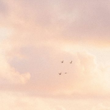 Venus in Virgo represented by a pink sky.