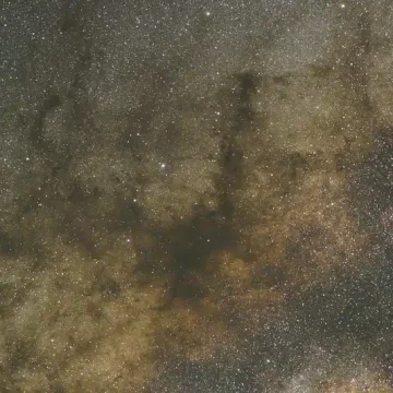 Astrology and the cosmos: star-filled sky representing celestial patterns and the meaning behind astrology.