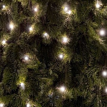 Cool Christmas gift ideas for each Zodiac Sign.